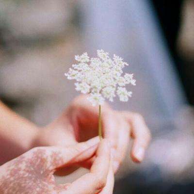 ROR体育app官方下载